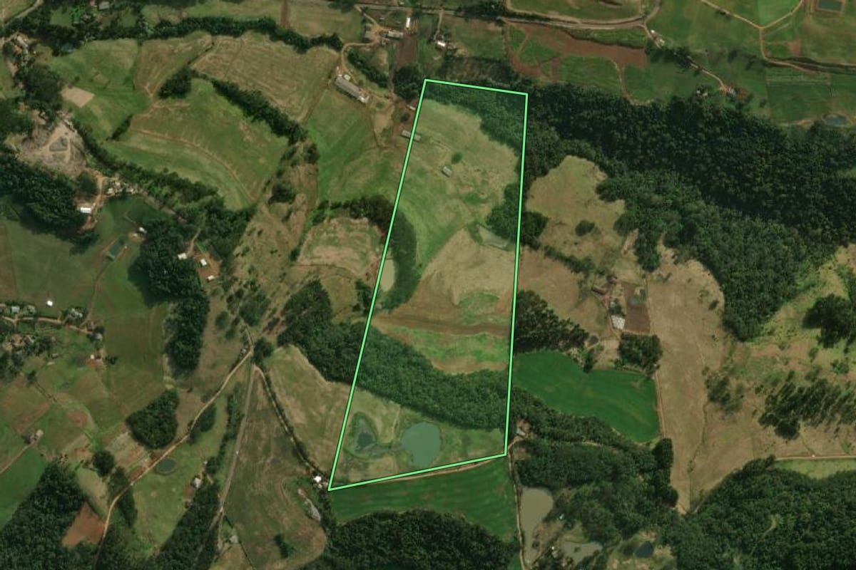 Imagem de satélite do imóvel rural em São José do Cedro (SC), com o contorno declarado no CAR desenhado por cima.