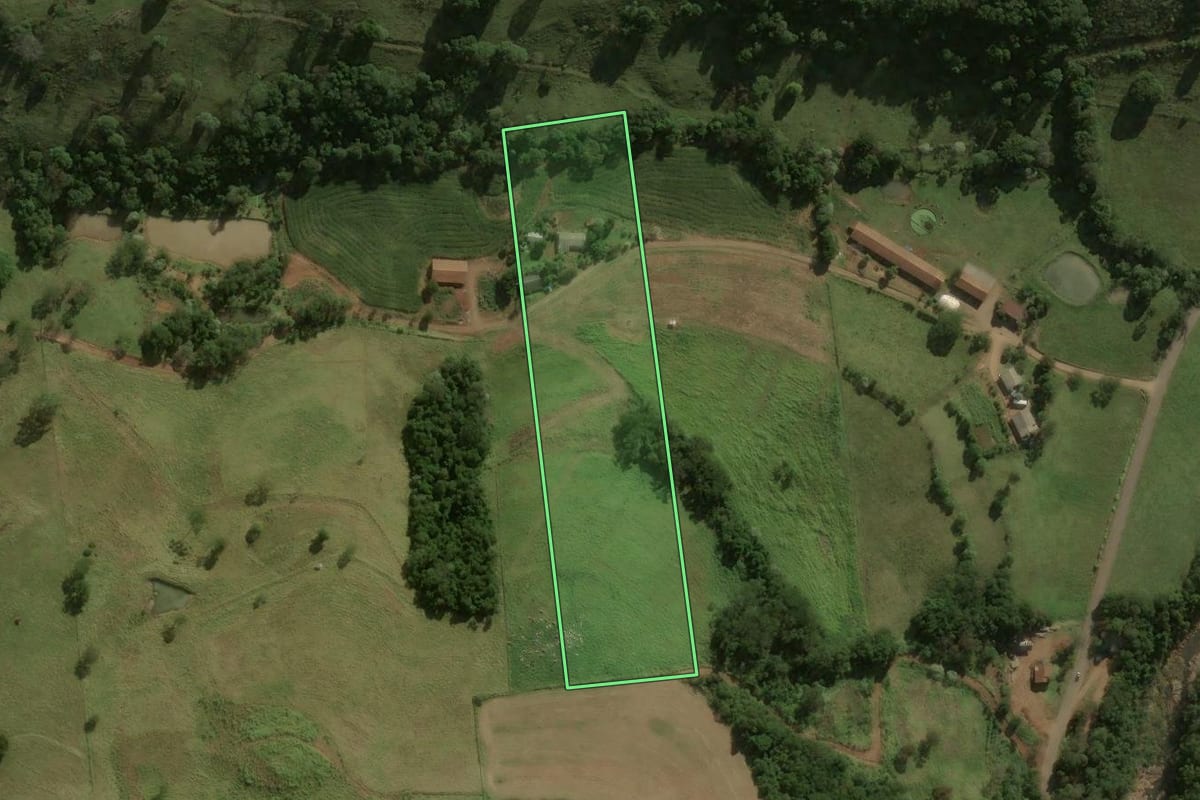 Imagem de satélite do imóvel rural em São José do Cedro (SC), com o contorno declarado no CAR desenhado por cima.