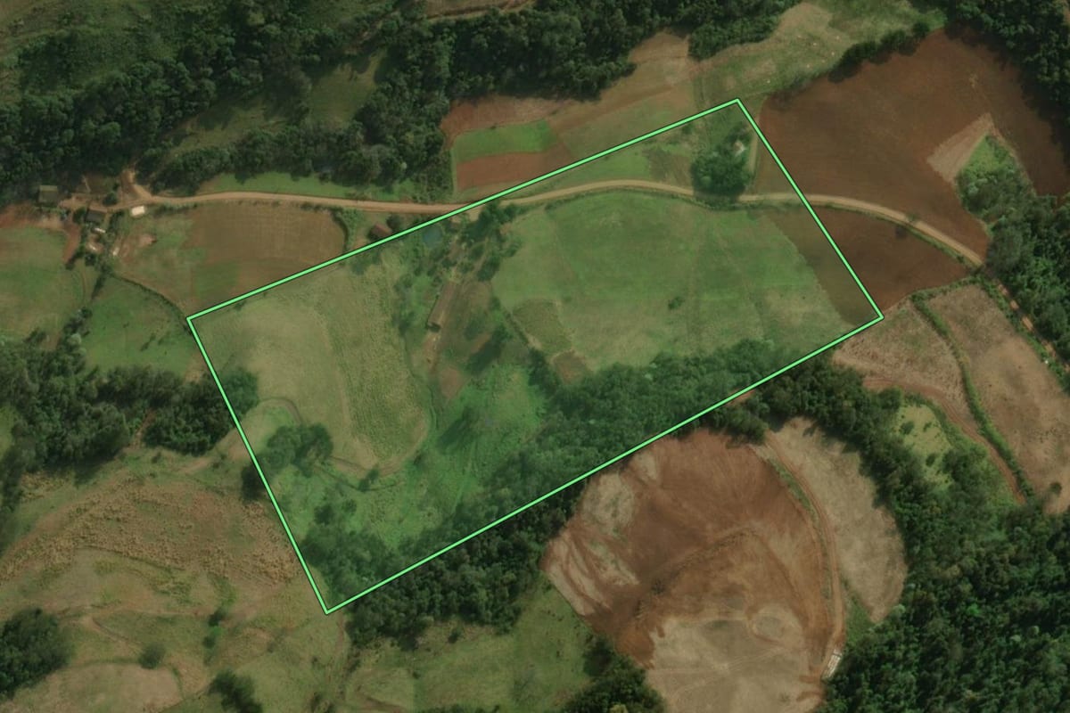 Imagem de satélite do imóvel rural em São José do Cedro (SC), com o contorno declarado no CAR desenhado por cima.