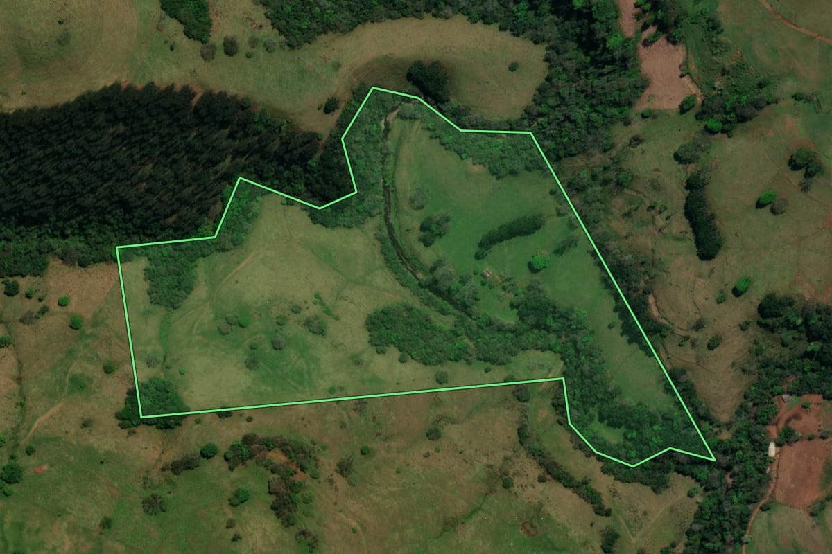 Imagem de satélite do imóvel rural em São José do Cedro (SC), com o contorno declarado no CAR desenhado por cima.