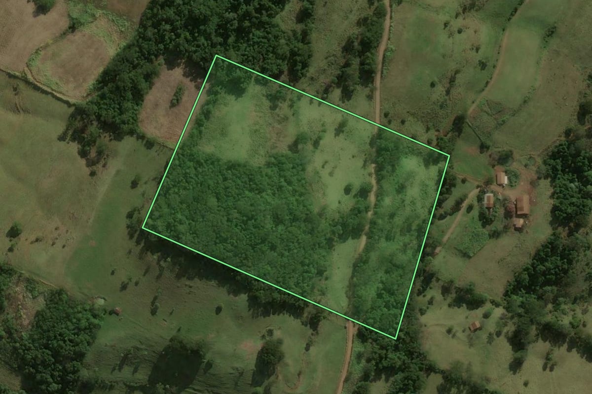Imagem de satélite do imóvel rural em São José do Cedro (SC), com o contorno declarado no CAR desenhado por cima.