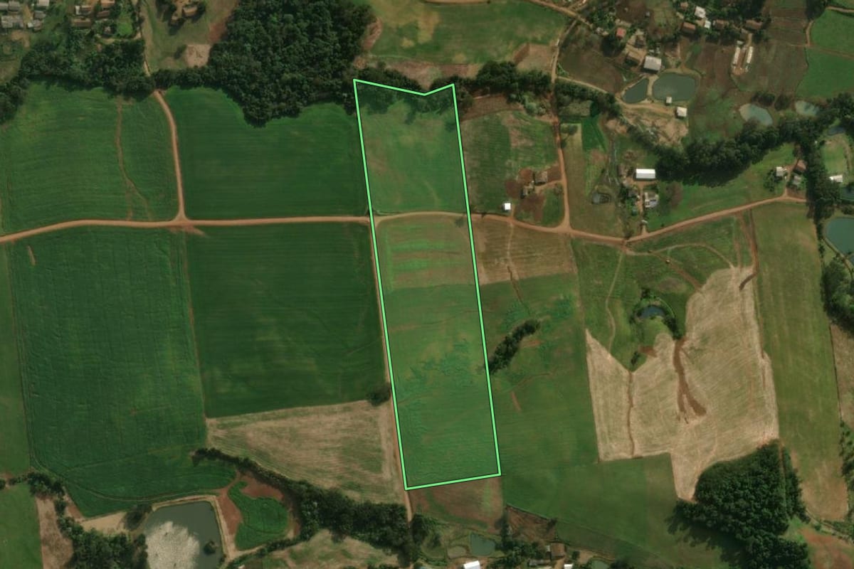 Imagem de satélite do imóvel rural em São José do Cedro (SC), com o contorno declarado no CAR desenhado por cima.