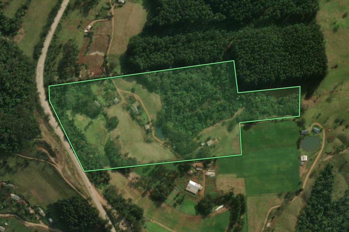 Imagem de satélite do imóvel rural em São José do Cedro (SC), com o contorno declarado no CAR desenhado por cima.