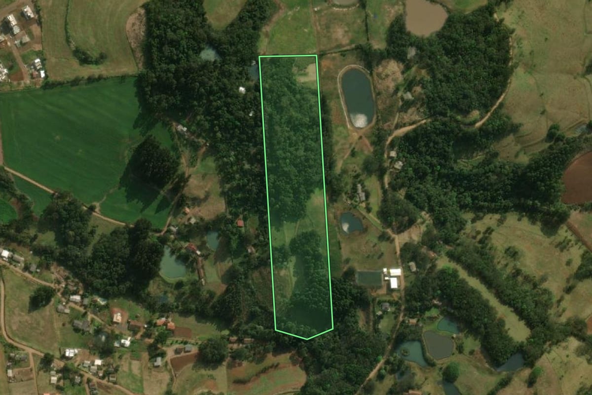 Imagem de satélite do imóvel rural em São José do Cedro (SC), com o contorno declarado no CAR desenhado por cima.