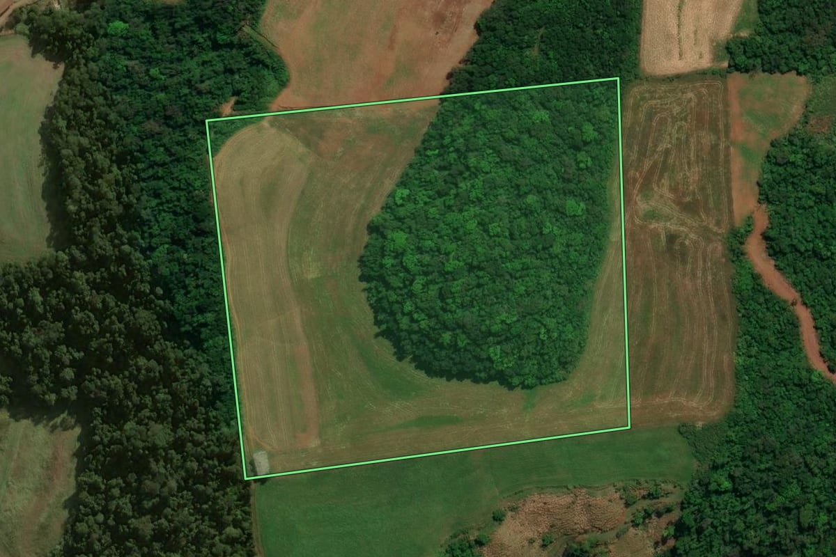 Imagem de satélite do imóvel rural em São José do Cedro (SC), com o contorno declarado no CAR desenhado por cima.