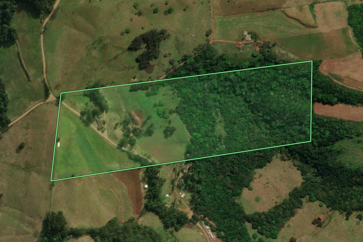 Imagem de satélite do imóvel rural em São José do Cedro (SC), com o contorno declarado no CAR desenhado por cima.