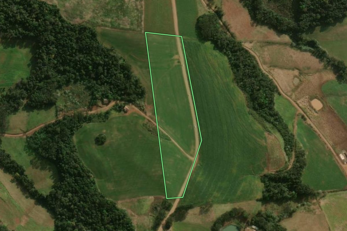 Imagem de satélite do imóvel rural em São José do Cedro (SC), com o contorno declarado no CAR desenhado por cima.