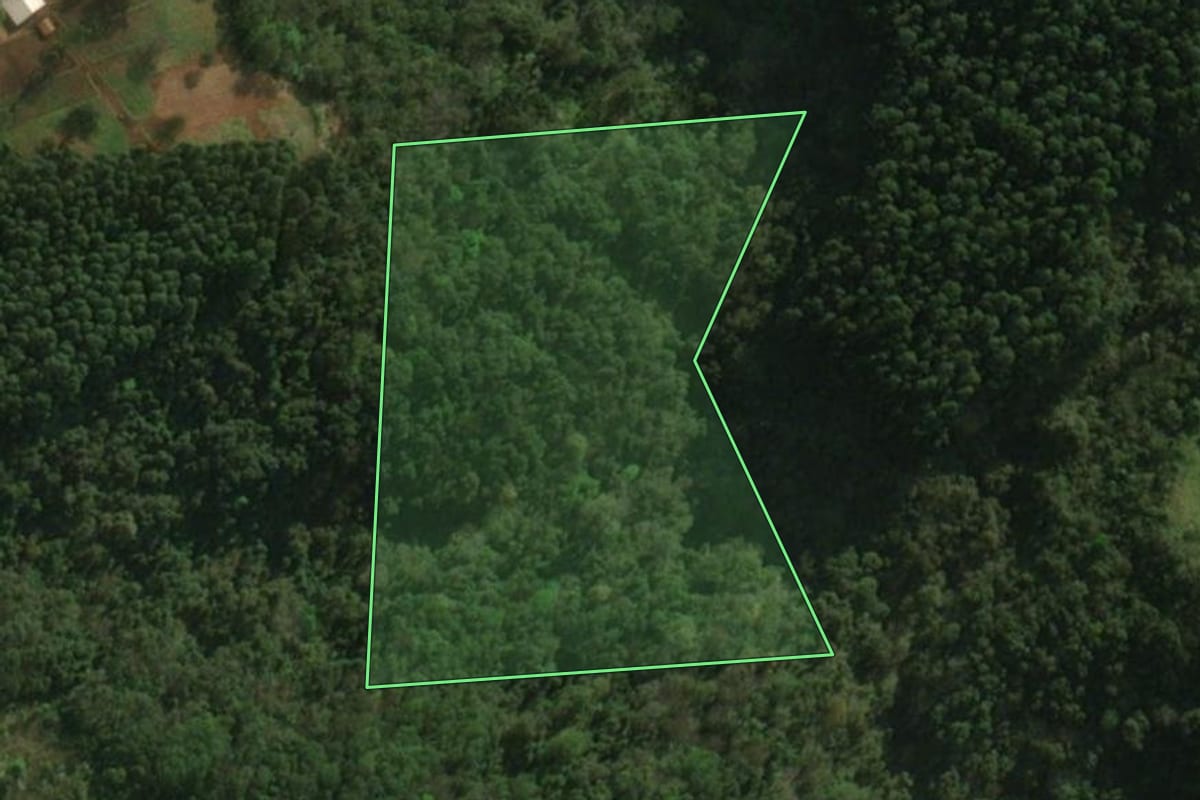 Imagem de satélite do imóvel rural em São José do Cedro (SC), com o contorno declarado no CAR desenhado por cima.