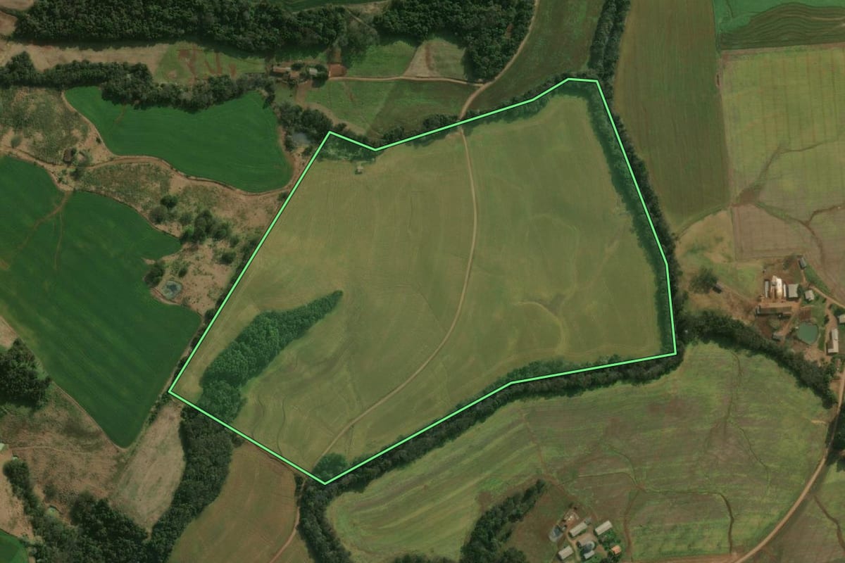 Imagem de satélite do imóvel rural em São José do Cedro (SC), com o contorno declarado no CAR desenhado por cima.