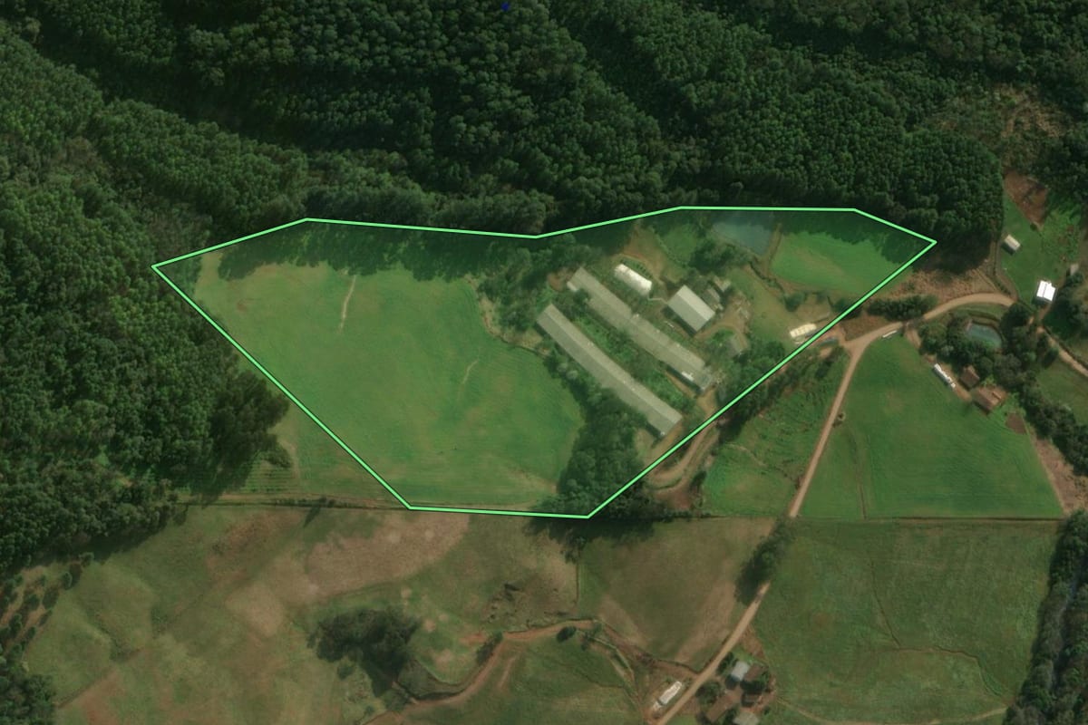 Imagem de satélite do imóvel rural em São José do Cedro (SC), com o contorno declarado no CAR desenhado por cima.