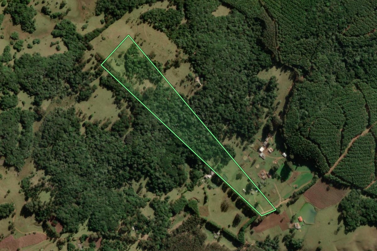 Imagem de satélite do imóvel rural em São José do Cerrito (SC), com o contorno declarado no CAR desenhado por cima.