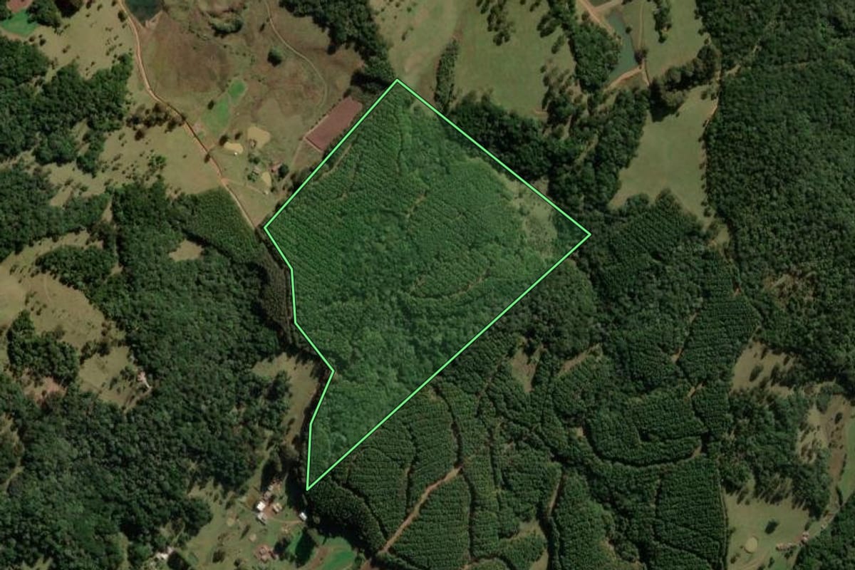 Imagem de satélite do imóvel rural em São José do Cerrito (SC), com o contorno declarado no CAR desenhado por cima.