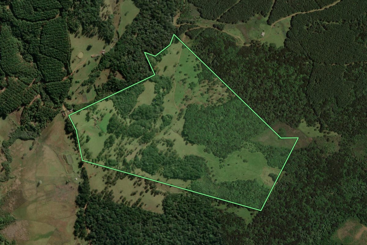 Imagem de satélite do imóvel rural em São José do Cerrito (SC), com o contorno declarado no CAR desenhado por cima.