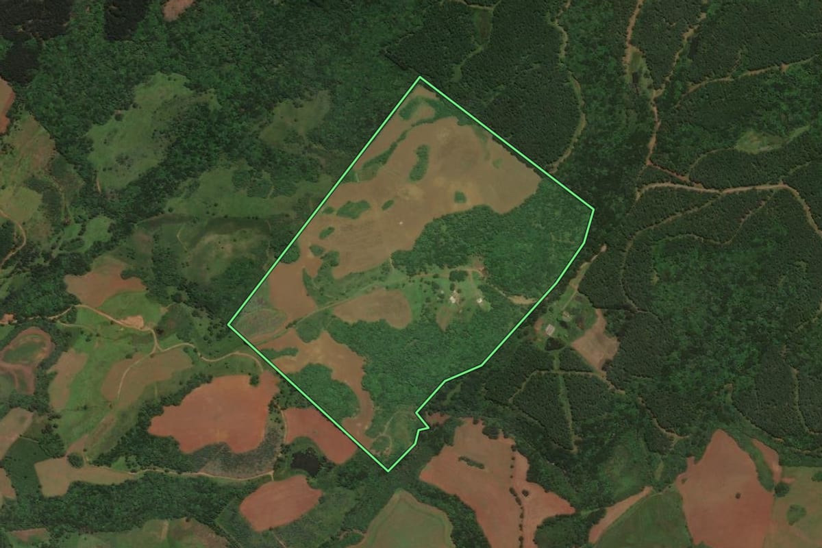 Imagem de satélite do imóvel rural em São José do Cerrito (SC), com o contorno declarado no CAR desenhado por cima.