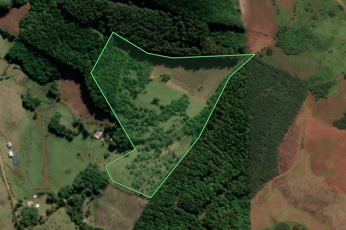 Imagem de satélite do imóvel rural em São José do Cerrito (SC), com o contorno declarado no CAR desenhado por cima.