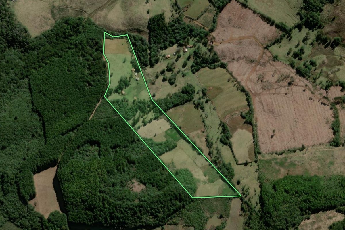 Imagem de satélite do imóvel rural em São José do Cerrito (SC), com o contorno declarado no CAR desenhado por cima.