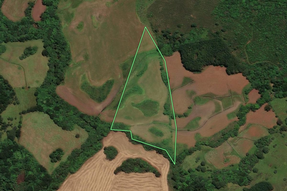 Imagem de satélite do imóvel rural em São José do Cerrito (SC), com o contorno declarado no CAR desenhado por cima.