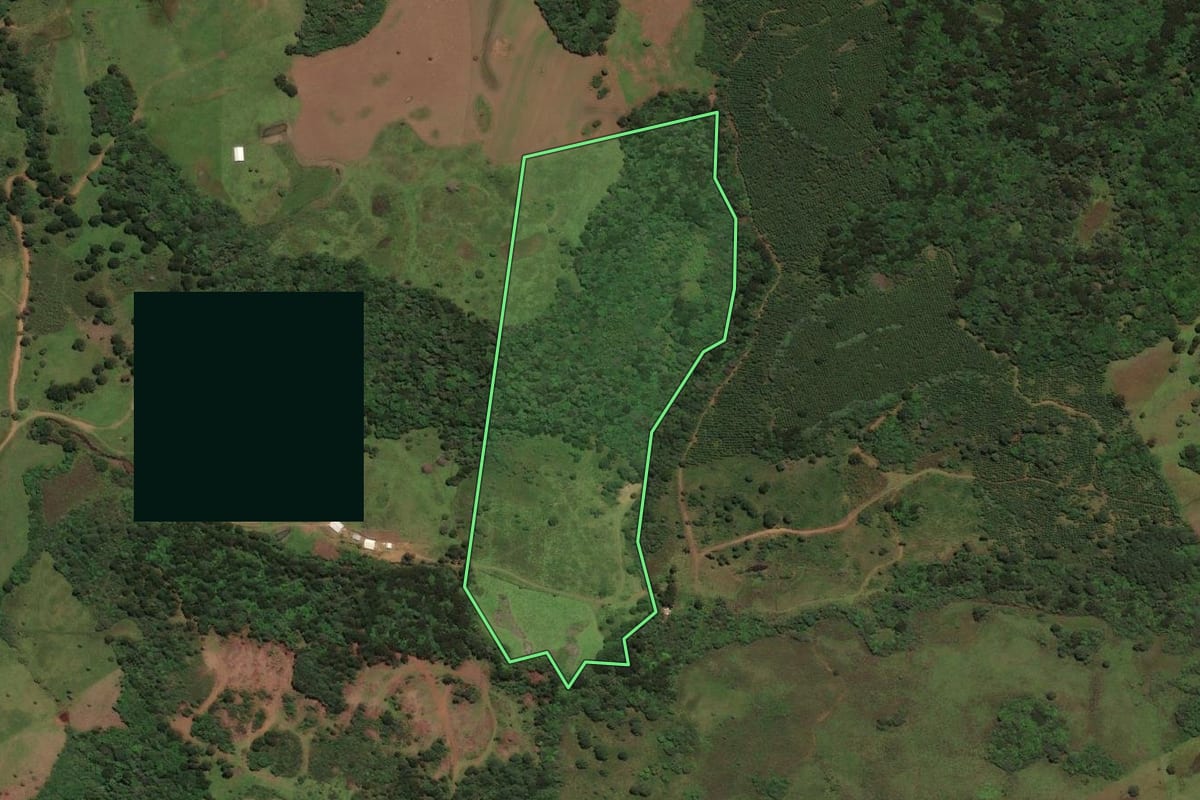Imagem de satélite do imóvel rural em São José do Cerrito (SC), com o contorno declarado no CAR desenhado por cima.