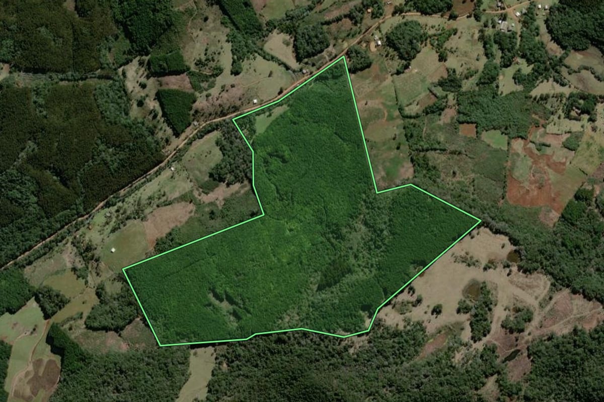Imagem de satélite do imóvel rural em São José do Cerrito (SC), com o contorno declarado no CAR desenhado por cima.
