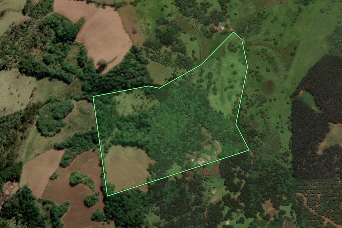Imagem de satélite do imóvel rural em São José do Cerrito (SC), com o contorno declarado no CAR desenhado por cima.