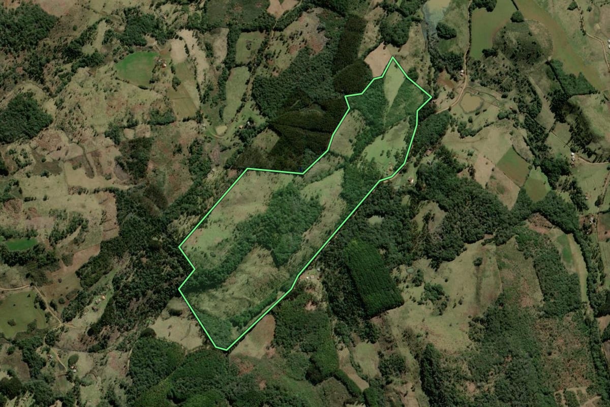 Imagem de satélite do imóvel rural em São José do Cerrito (SC), com o contorno declarado no CAR desenhado por cima.