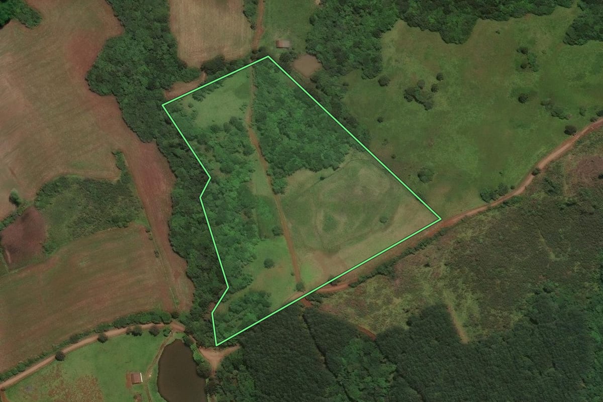 Imagem de satélite do imóvel rural em São José do Cerrito (SC), com o contorno declarado no CAR desenhado por cima.
