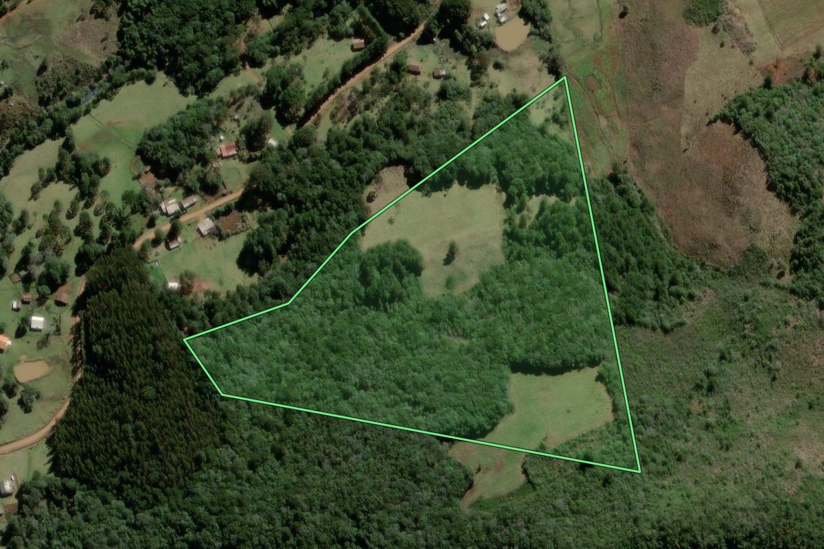 Imagem de satélite do imóvel rural em São José do Cerrito (SC), com o contorno declarado no CAR desenhado por cima.