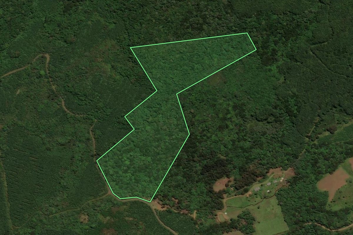 Imagem de satélite do imóvel rural em São José do Cerrito (SC), com o contorno declarado no CAR desenhado por cima.