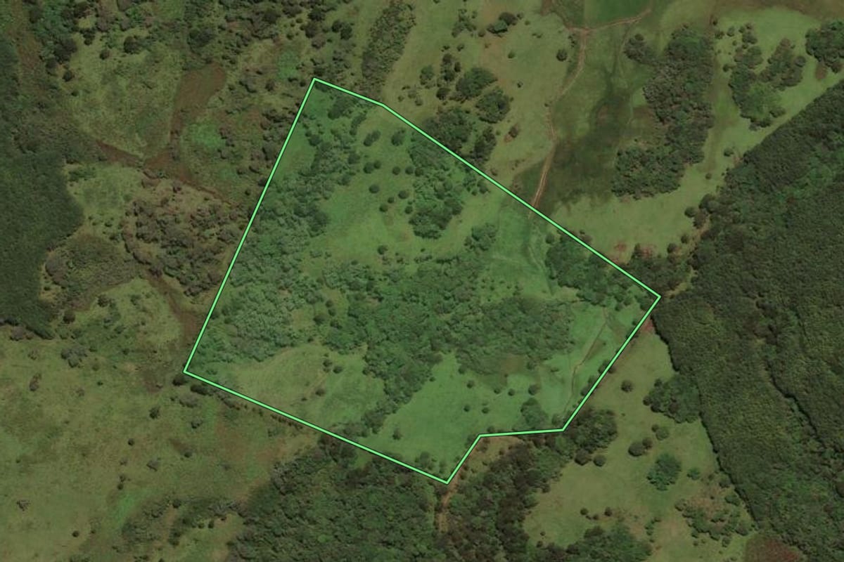 Imagem de satélite do imóvel rural em São José do Cerrito (SC), com o contorno declarado no CAR desenhado por cima.