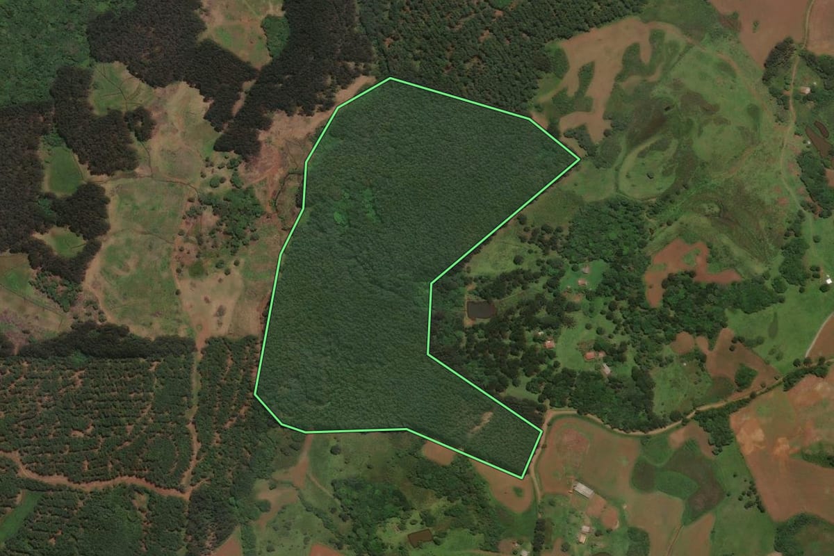 Imagem de satélite do imóvel rural em São José do Cerrito (SC), com o contorno declarado no CAR desenhado por cima.