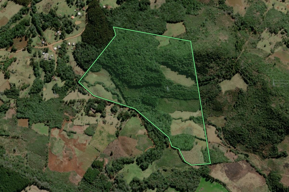 Imagem de satélite do imóvel rural em São José do Cerrito (SC), com o contorno declarado no CAR desenhado por cima.