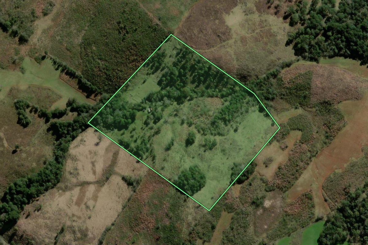 Imagem de satélite do imóvel rural em São José do Cerrito (SC), com o contorno declarado no CAR desenhado por cima.