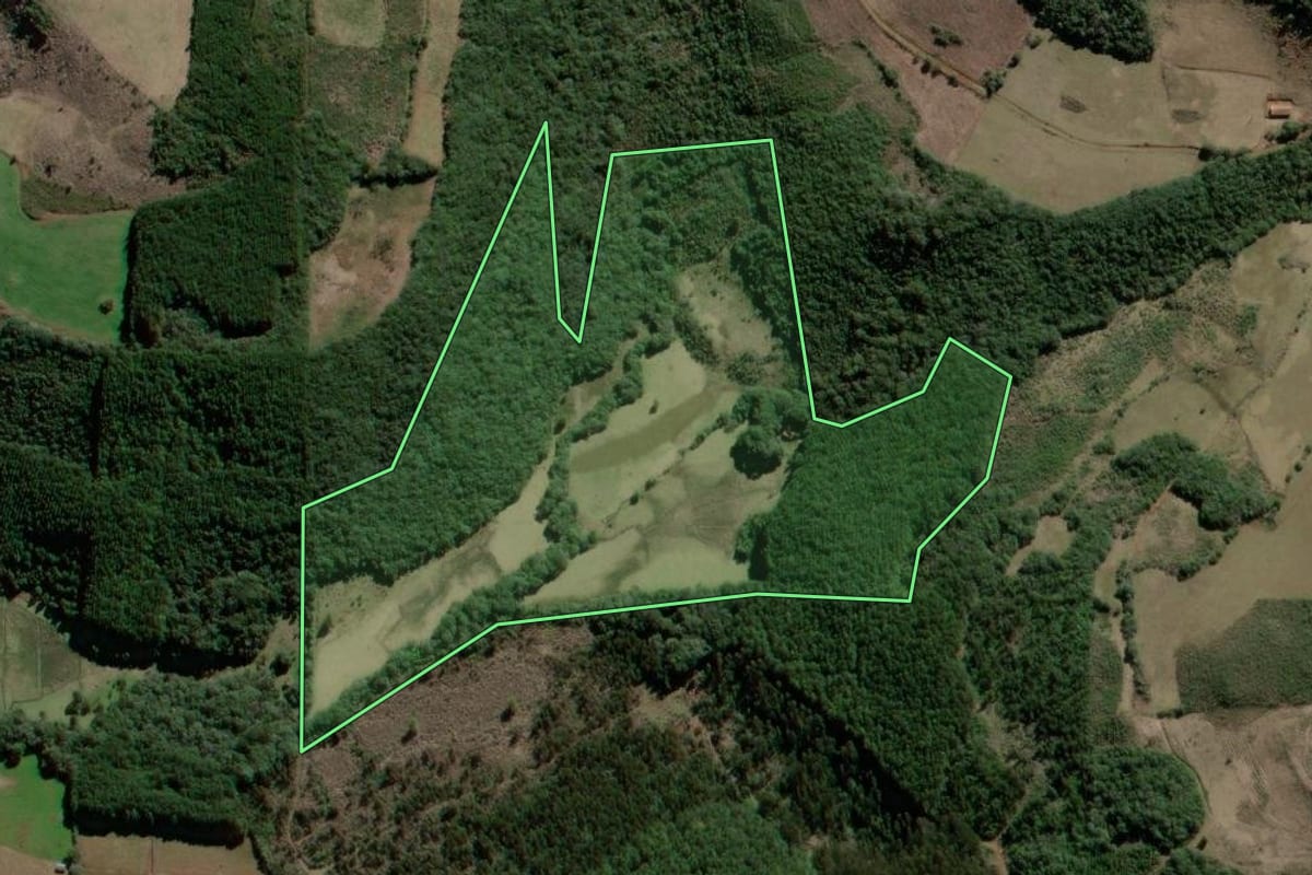 Imagem de satélite do imóvel rural em São José do Cerrito (SC), com o contorno declarado no CAR desenhado por cima.
