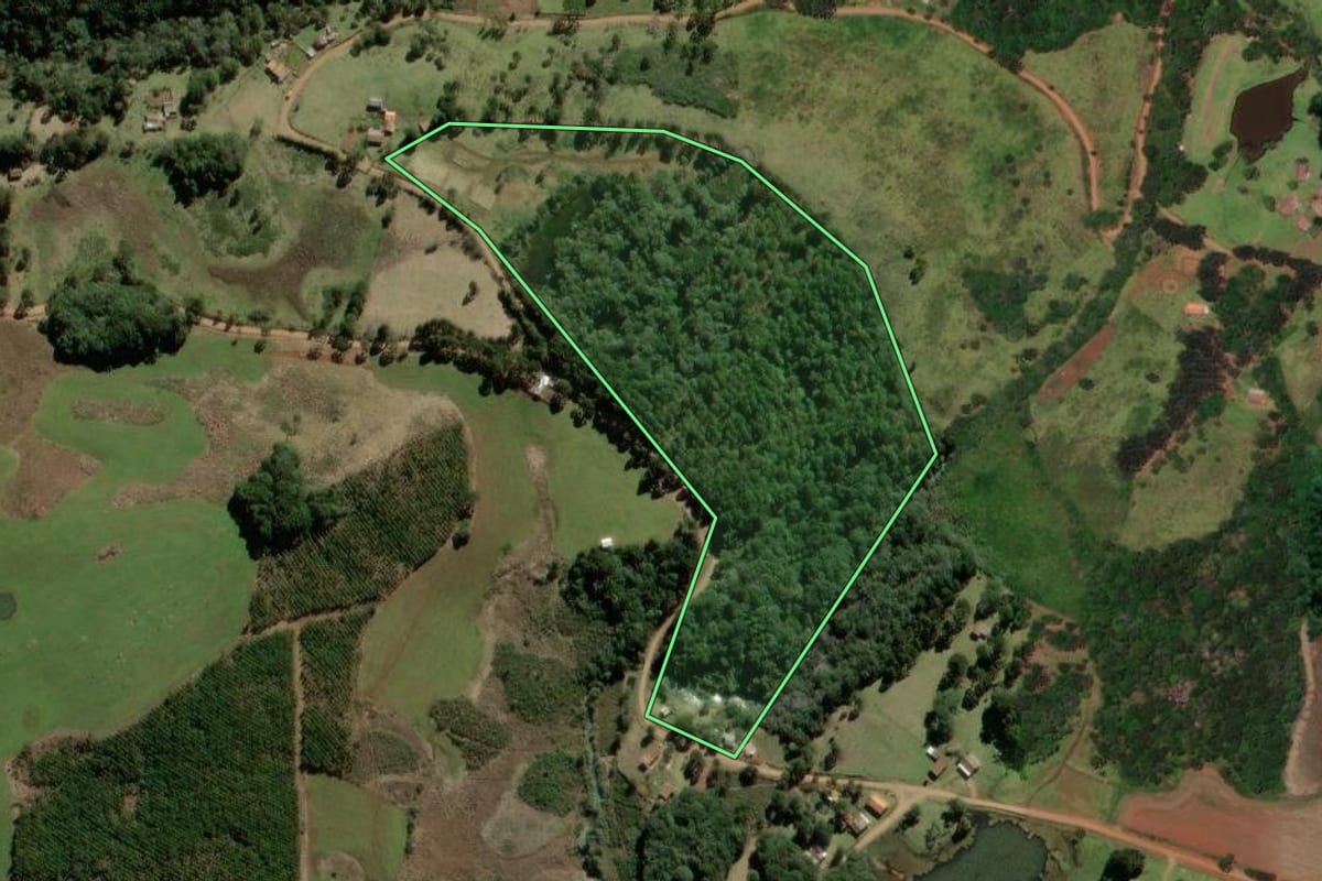Imagem de satélite do imóvel rural em São José do Cerrito (SC), com o contorno declarado no CAR desenhado por cima.