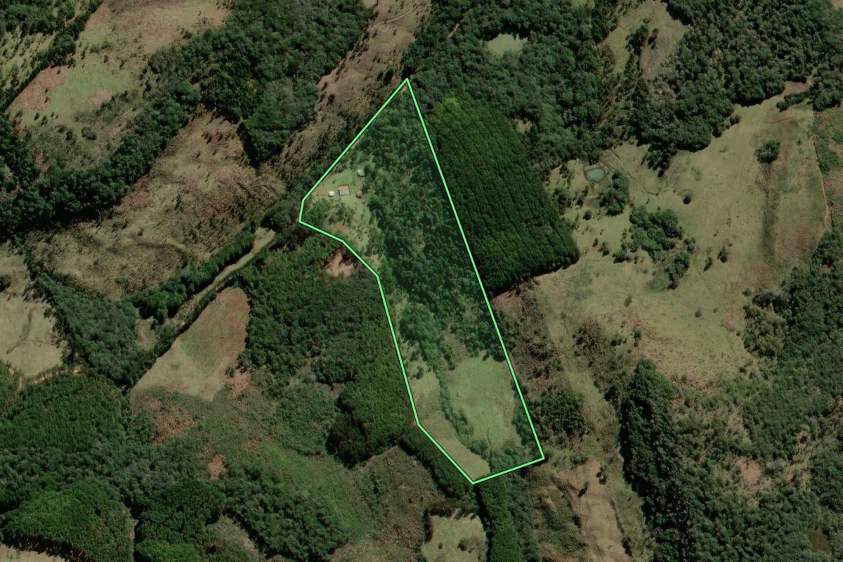 Imagem de satélite do imóvel rural em São José do Cerrito (SC), com o contorno declarado no CAR desenhado por cima.