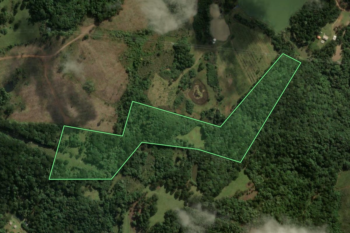 Imagem de satélite do imóvel rural em São José do Cerrito (SC), com o contorno declarado no CAR desenhado por cima.