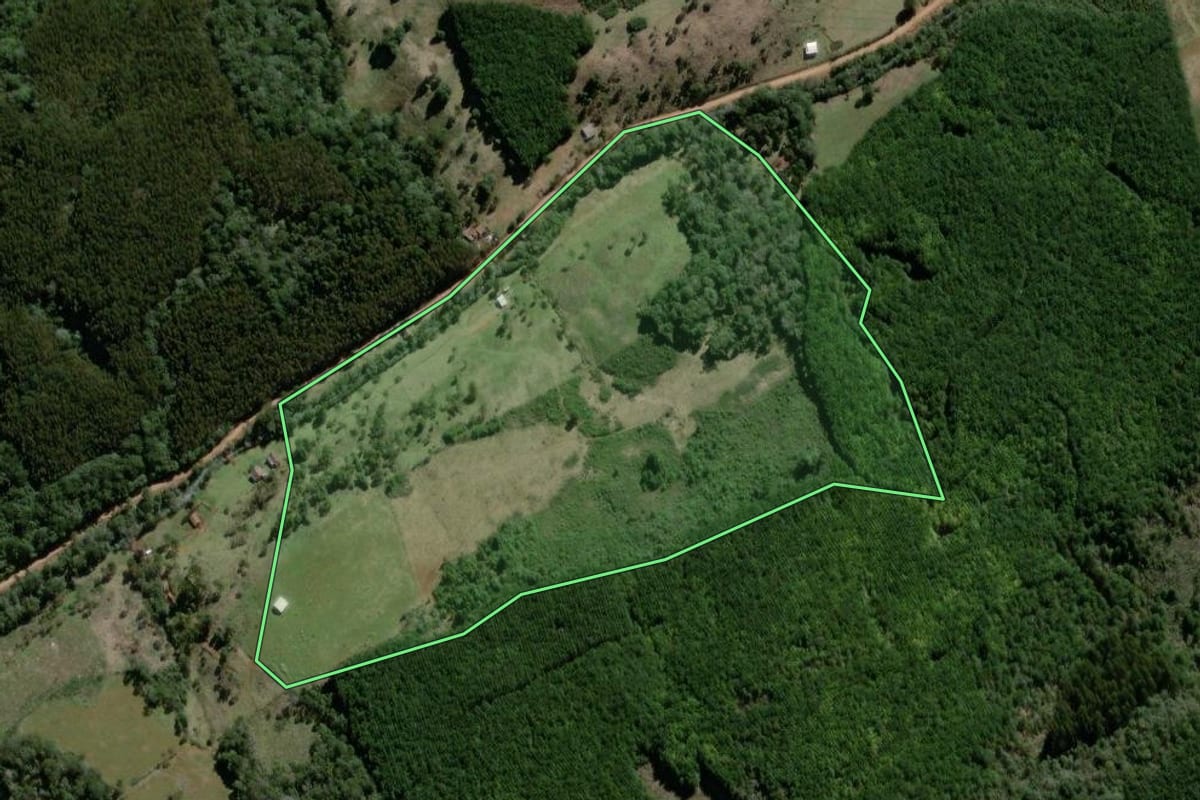 Imagem de satélite do imóvel rural em São José do Cerrito (SC), com o contorno declarado no CAR desenhado por cima.