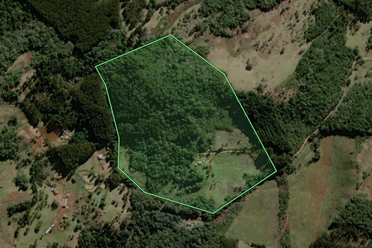 Imagem de satélite do imóvel rural em São José do Cerrito (SC), com o contorno declarado no CAR desenhado por cima.