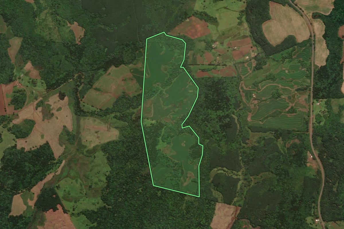 Imagem de satélite do imóvel rural em São José do Cerrito (SC), com o contorno declarado no CAR desenhado por cima.