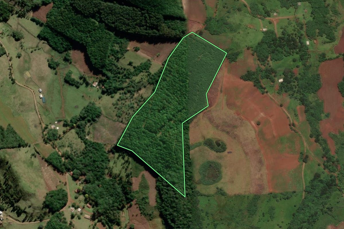 Imagem de satélite do imóvel rural em São José do Cerrito (SC), com o contorno declarado no CAR desenhado por cima.