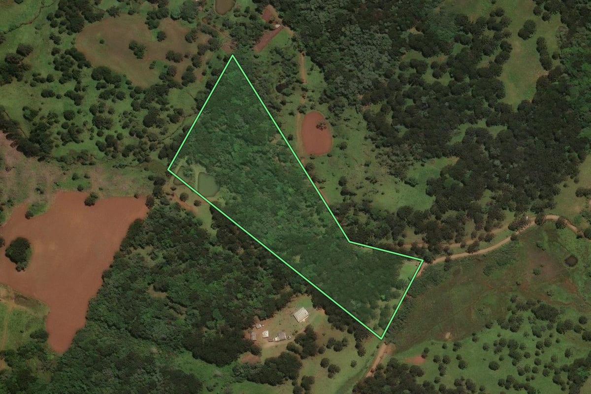 Imagem de satélite do imóvel rural em São José do Cerrito (SC), com o contorno declarado no CAR desenhado por cima.