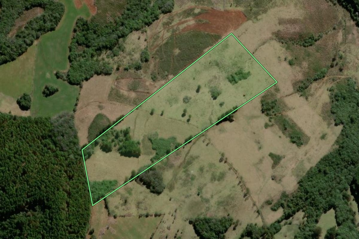 Imagem de satélite do imóvel rural em São José do Cerrito (SC), com o contorno declarado no CAR desenhado por cima.