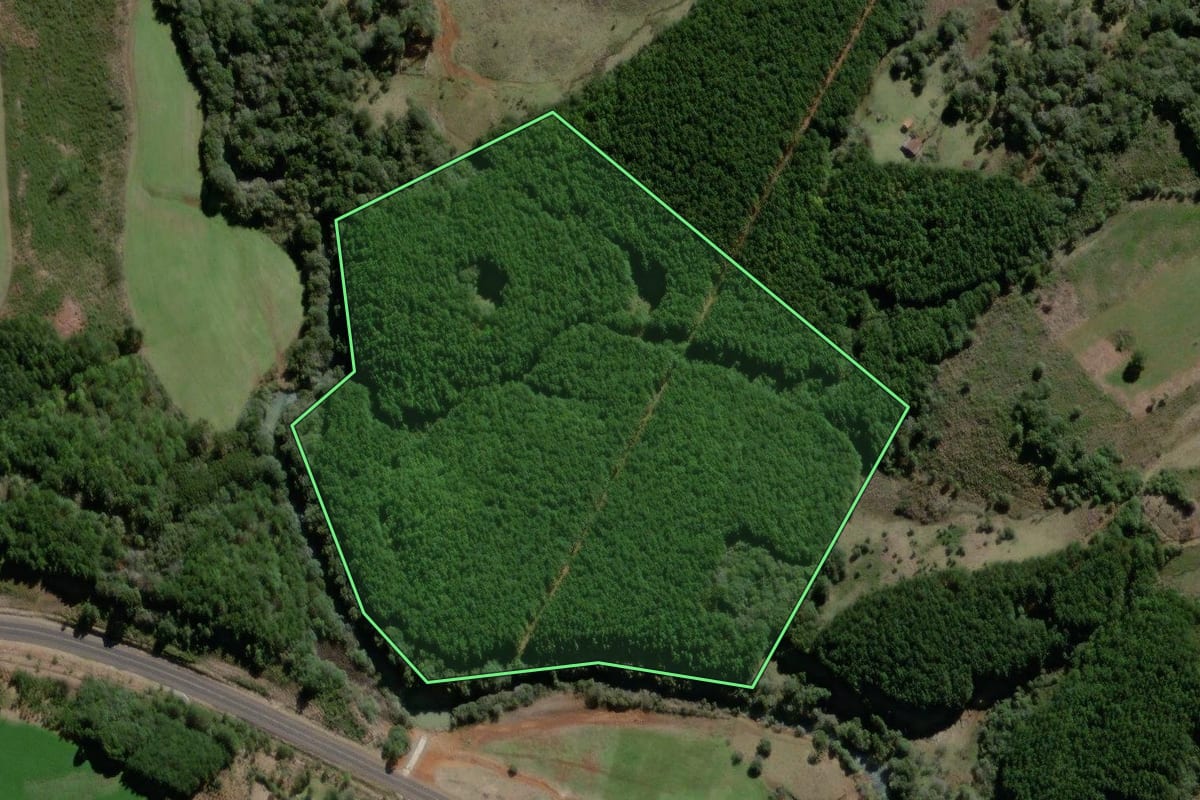 Imagem de satélite do imóvel rural em São José do Cerrito (SC), com o contorno declarado no CAR desenhado por cima.