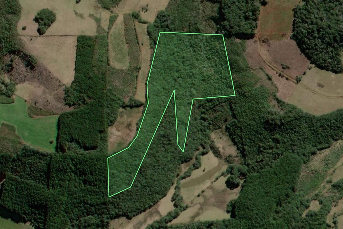 Imagem de satélite do imóvel rural em São José do Cerrito (SC), com o contorno declarado no CAR desenhado por cima.