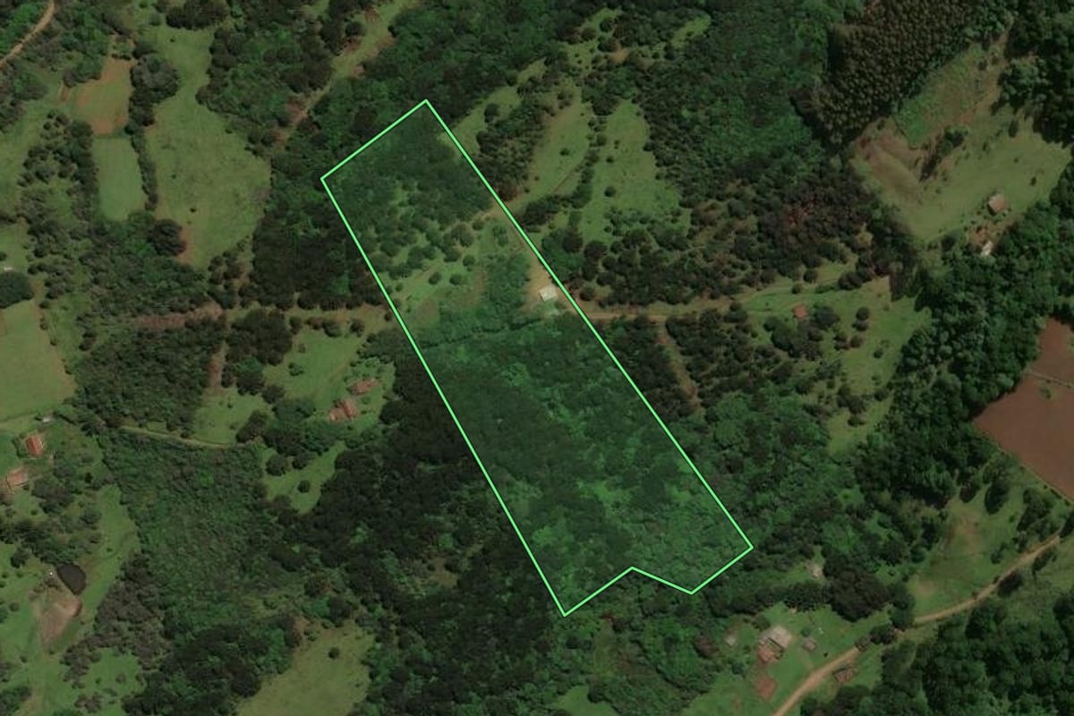 Imagem de satélite do imóvel rural em São José do Cerrito (SC), com o contorno declarado no CAR desenhado por cima.