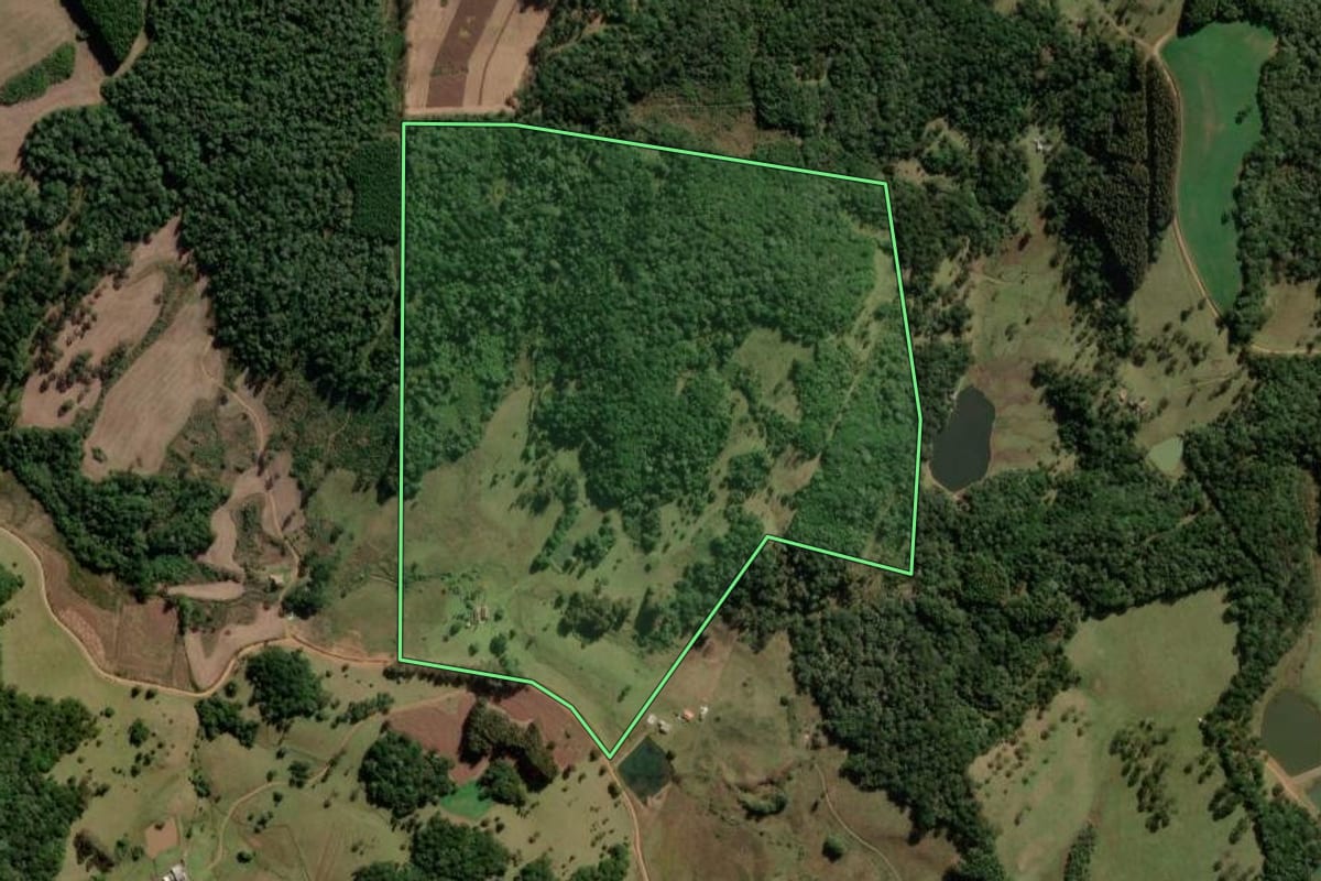 Imagem de satélite do imóvel rural em São José do Cerrito (SC), com o contorno declarado no CAR desenhado por cima.