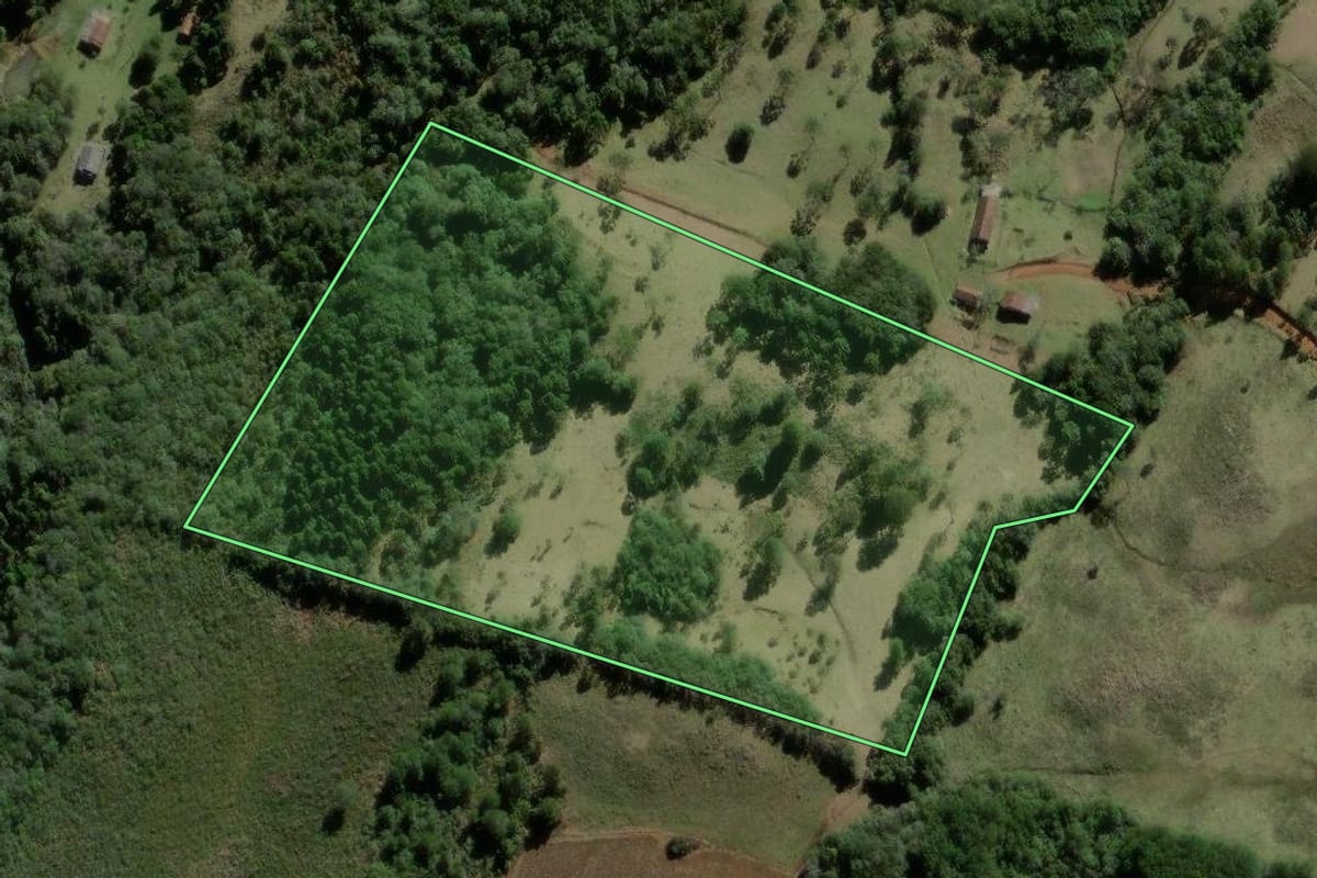 Imagem de satélite do imóvel rural em São José do Cerrito (SC), com o contorno declarado no CAR desenhado por cima.