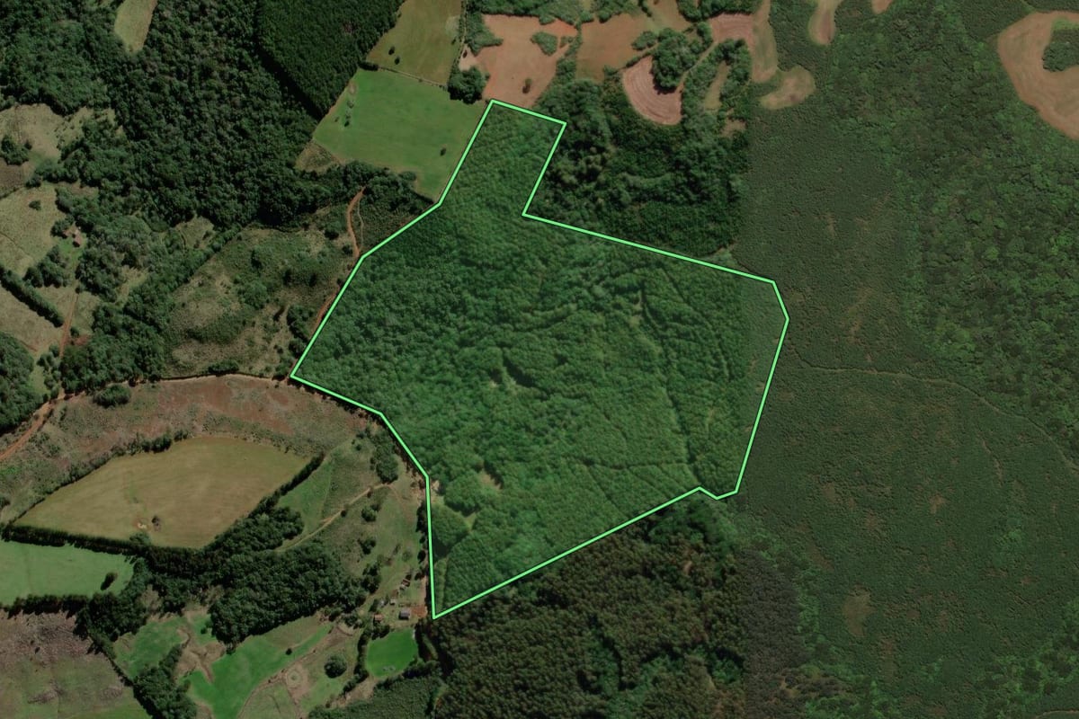 Imagem de satélite do imóvel rural em São José do Cerrito (SC), com o contorno declarado no CAR desenhado por cima.