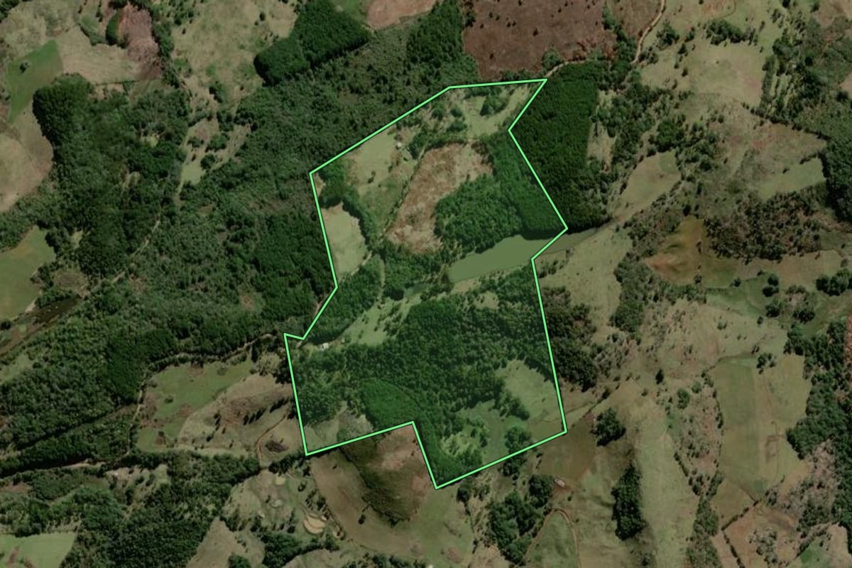 Imagem de satélite do imóvel rural em São José do Cerrito (SC), com o contorno declarado no CAR desenhado por cima.