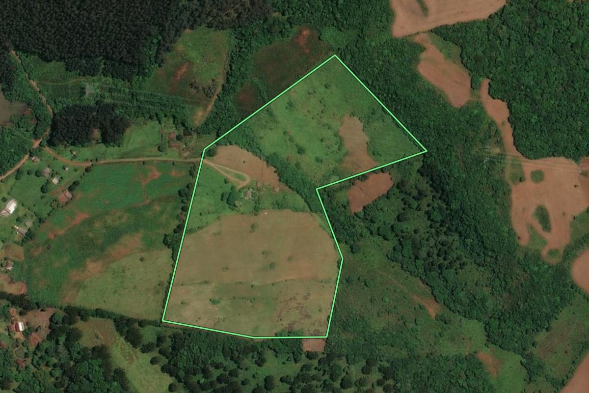 Imagem de satélite do imóvel rural em São José do Cerrito (SC), com o contorno declarado no CAR desenhado por cima.